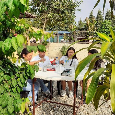 Hotel Tiger Tops Sauraha Dış mekan fotoğraf