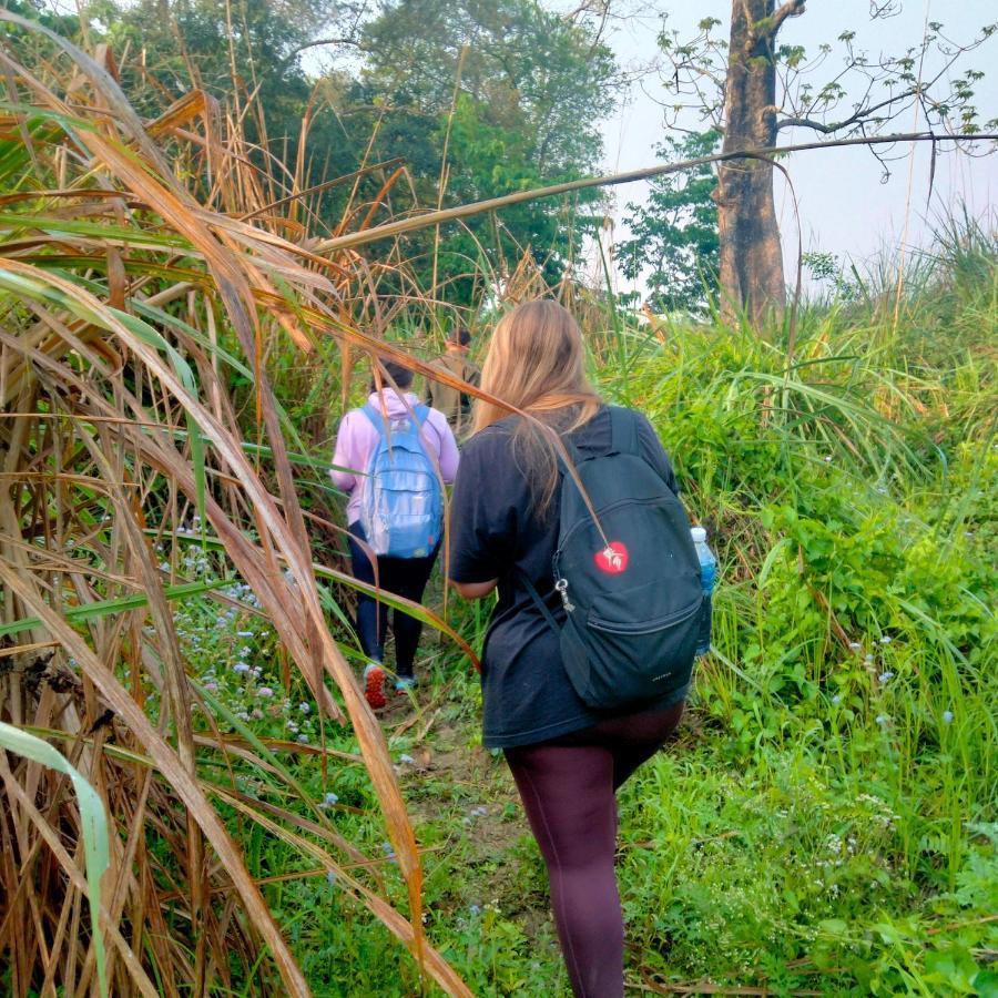 Hotel Tiger Tops Sauraha Dış mekan fotoğraf