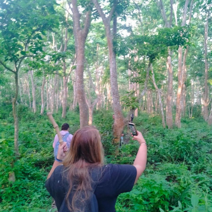 Hotel Tiger Tops Sauraha Dış mekan fotoğraf