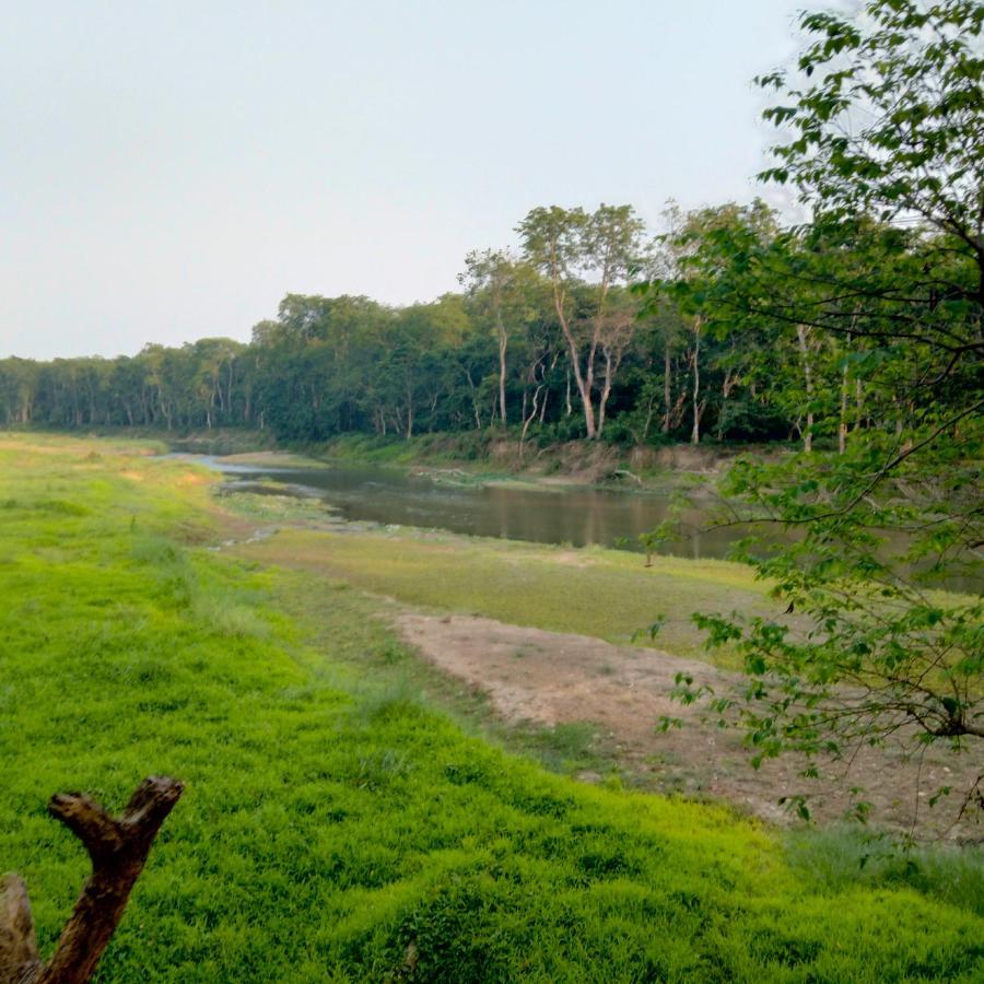 Hotel Tiger Tops Sauraha Dış mekan fotoğraf