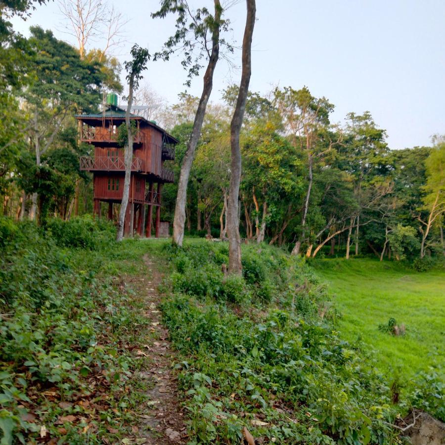 Hotel Tiger Tops Sauraha Dış mekan fotoğraf