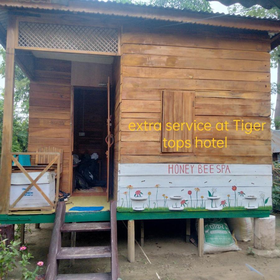 Hotel Tiger Tops Sauraha Dış mekan fotoğraf