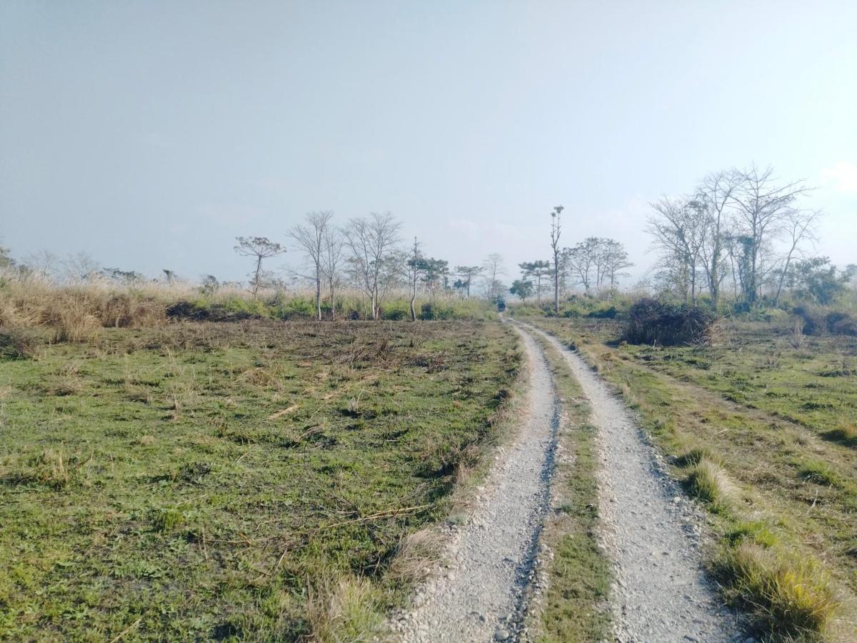 Hotel Tiger Tops Sauraha Dış mekan fotoğraf