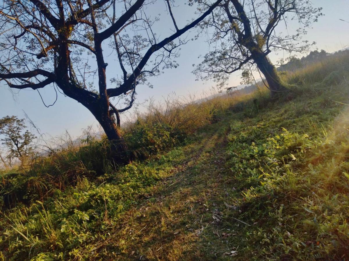 Hotel Tiger Tops Sauraha Dış mekan fotoğraf