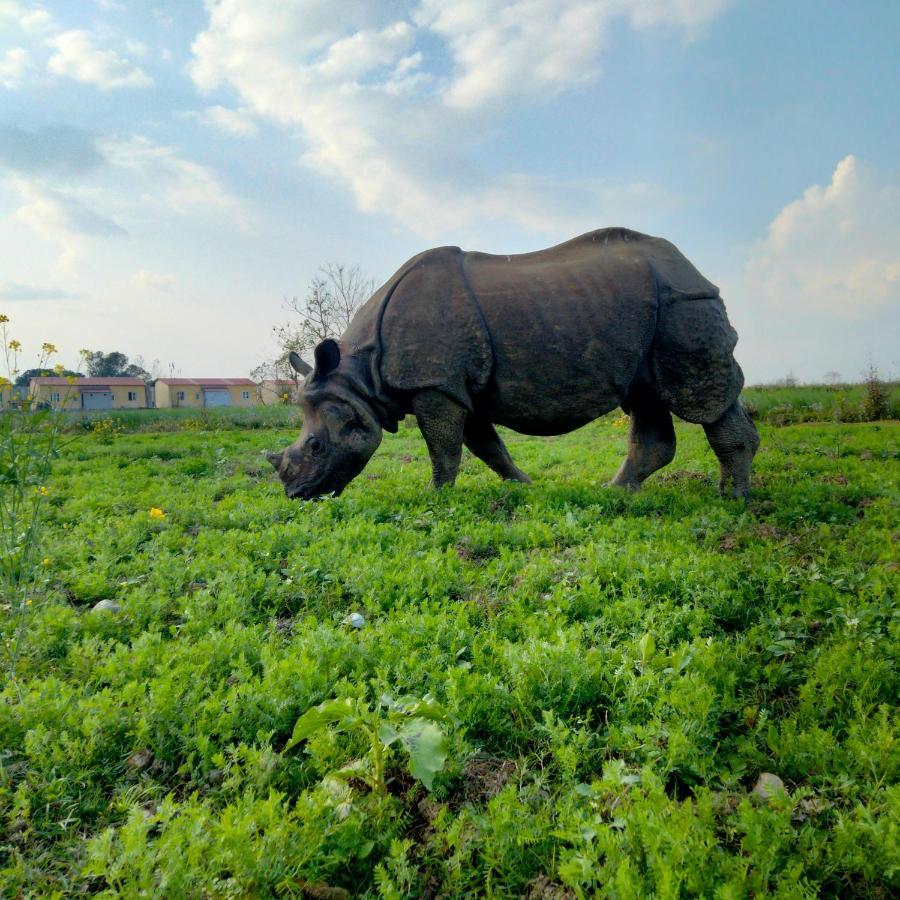 Hotel Tiger Tops Sauraha Dış mekan fotoğraf