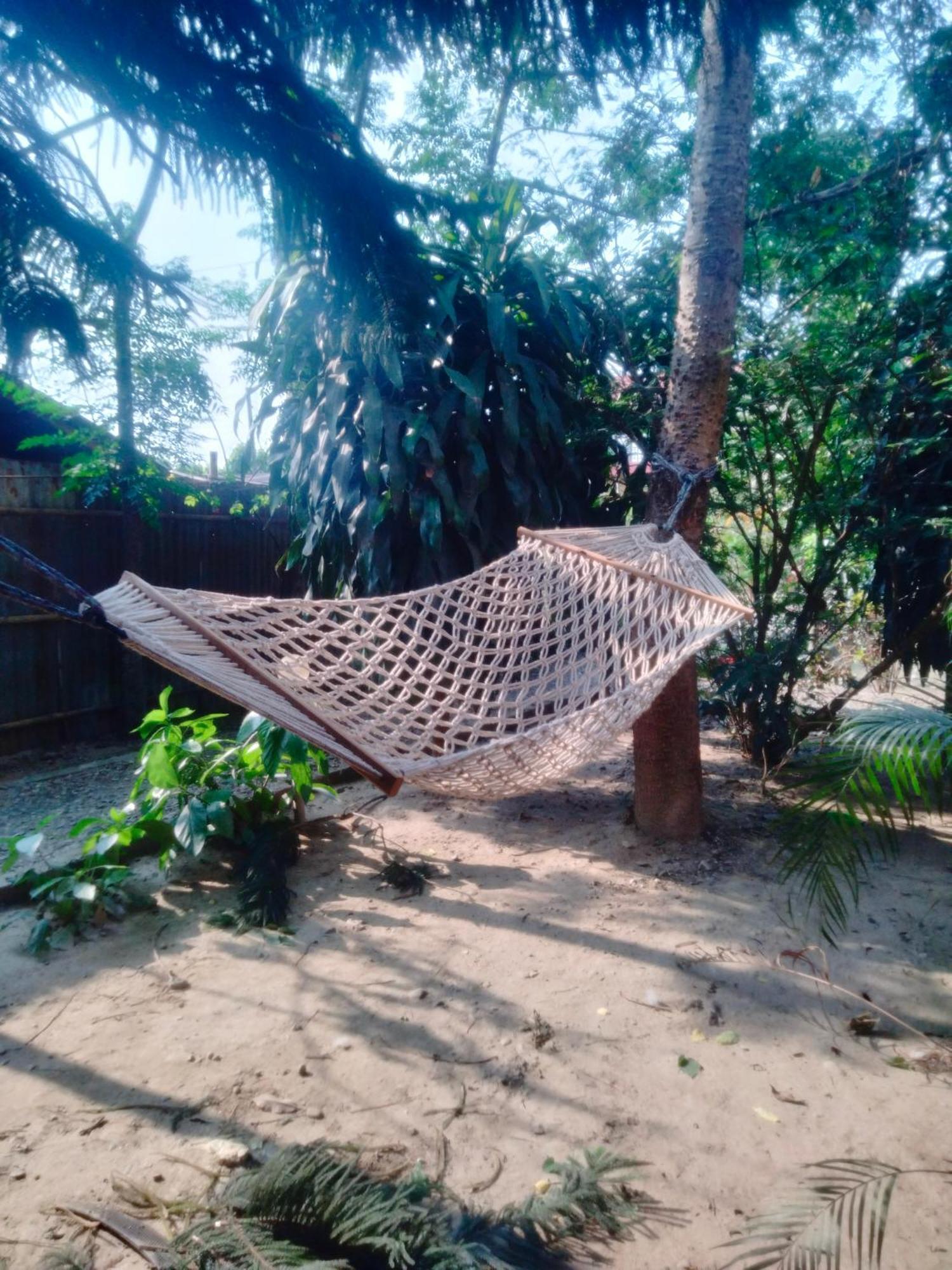 Hotel Tiger Tops Sauraha Dış mekan fotoğraf