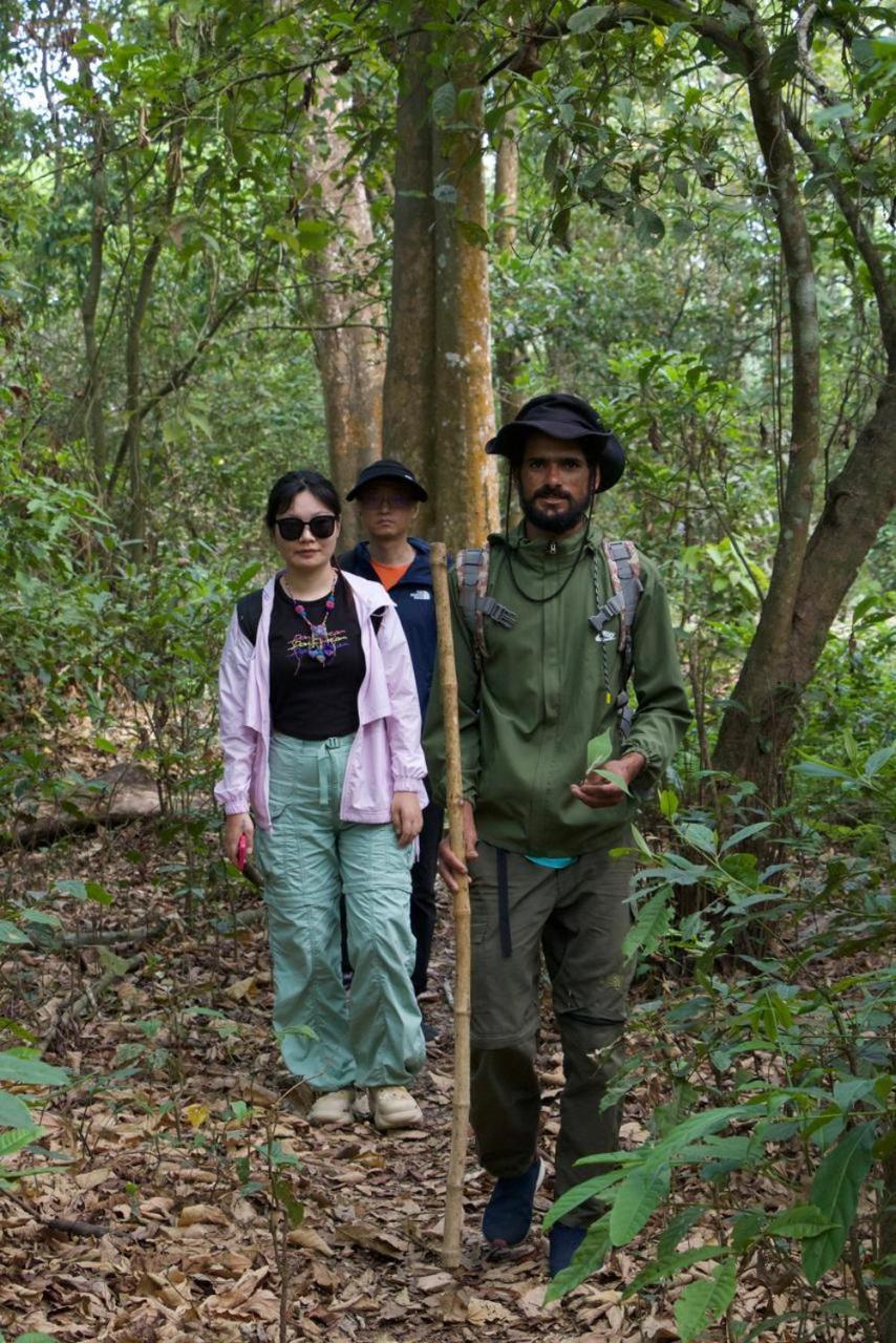 Hotel Tiger Tops Sauraha Dış mekan fotoğraf
