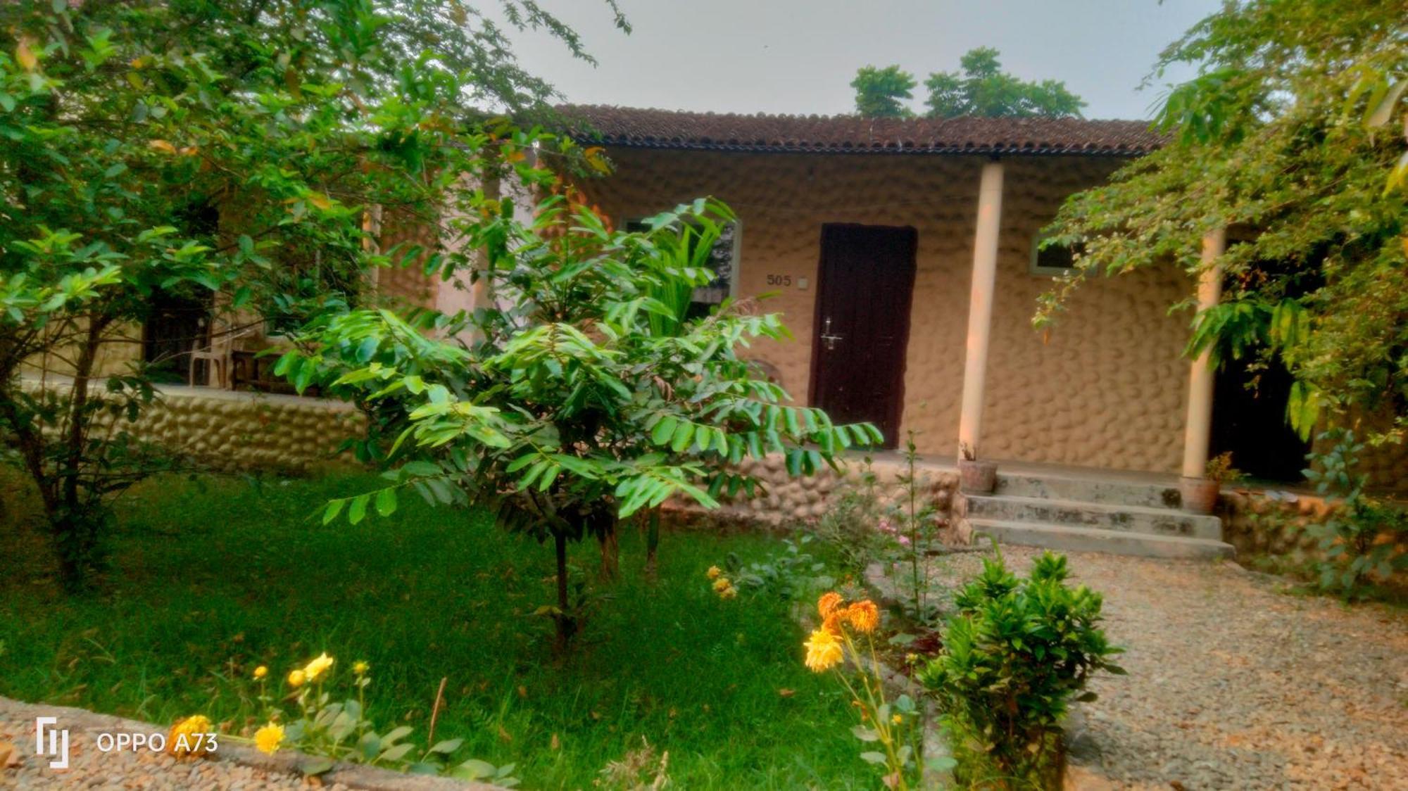 Hotel Tiger Tops Sauraha Oda fotoğraf