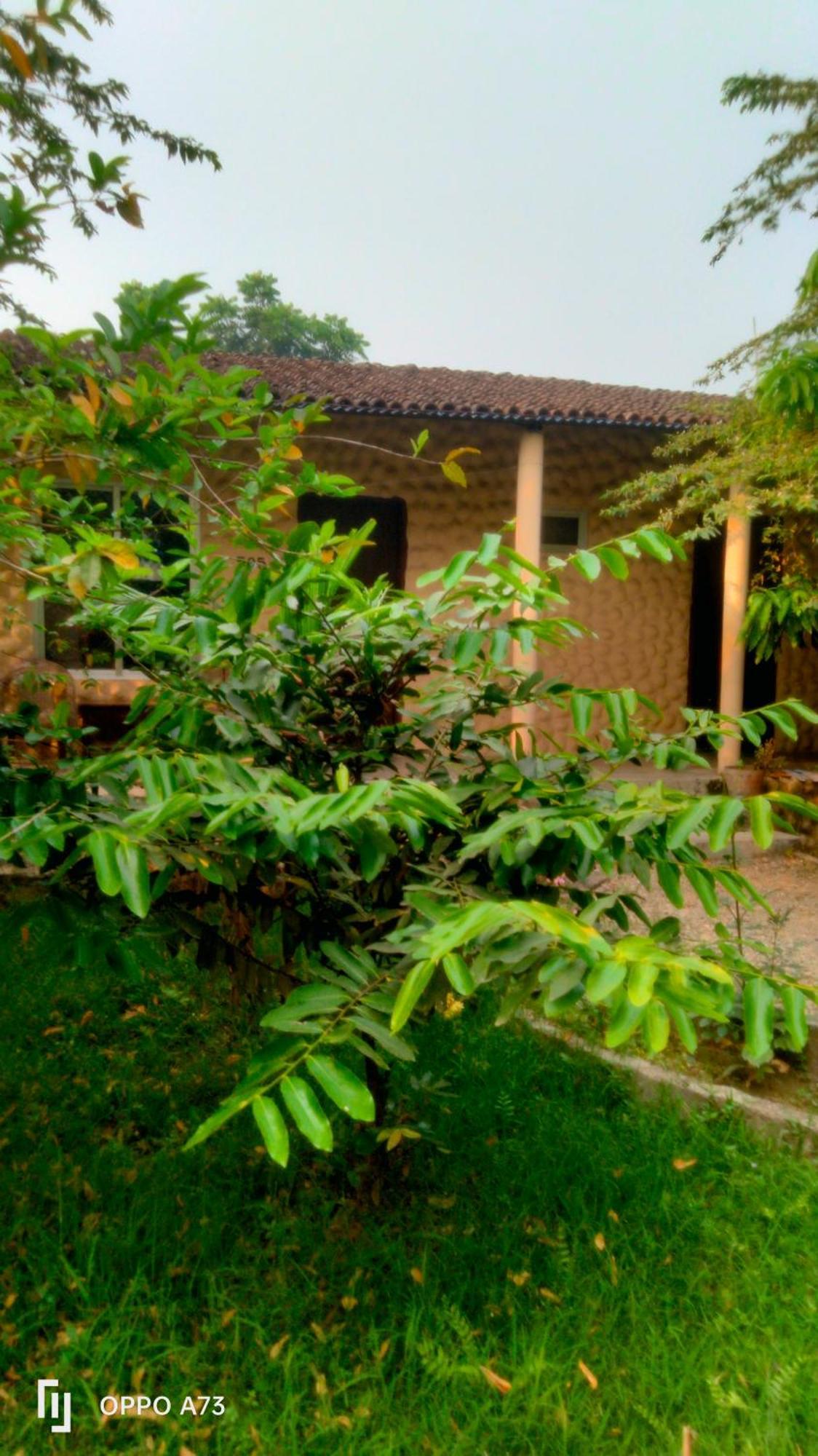 Hotel Tiger Tops Sauraha Oda fotoğraf