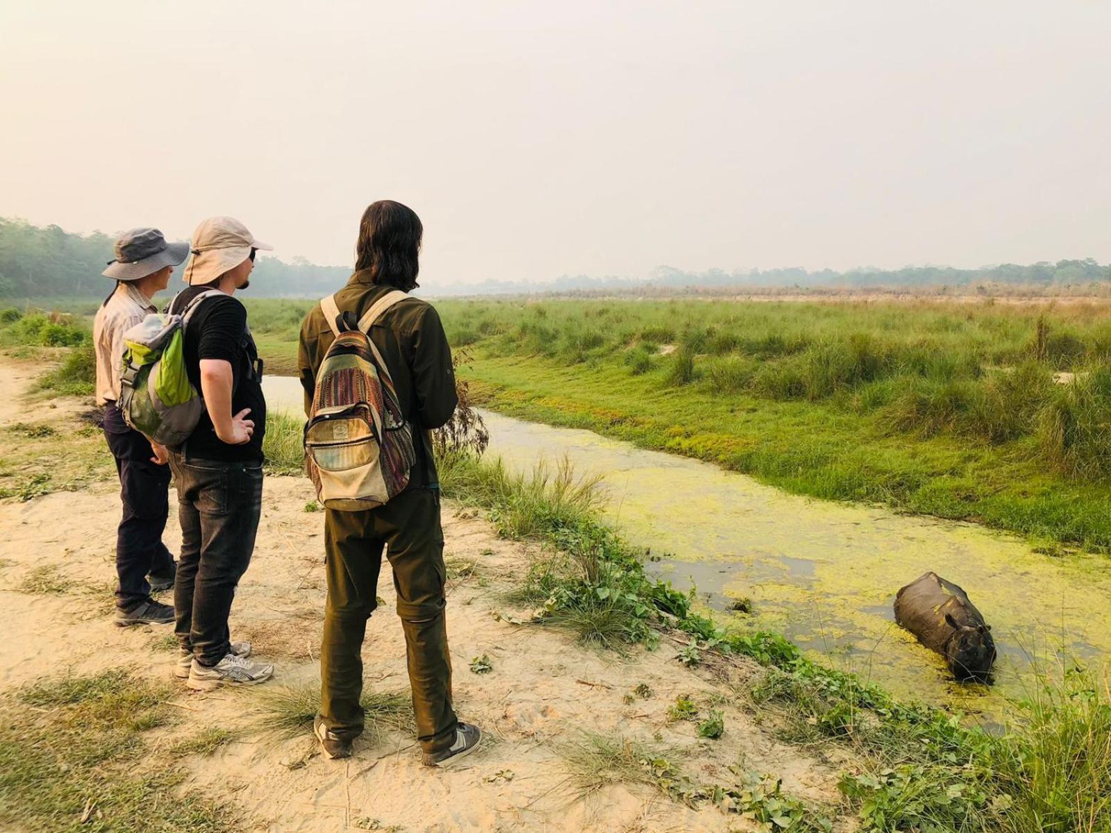 Hotel Tiger Tops Sauraha Dış mekan fotoğraf