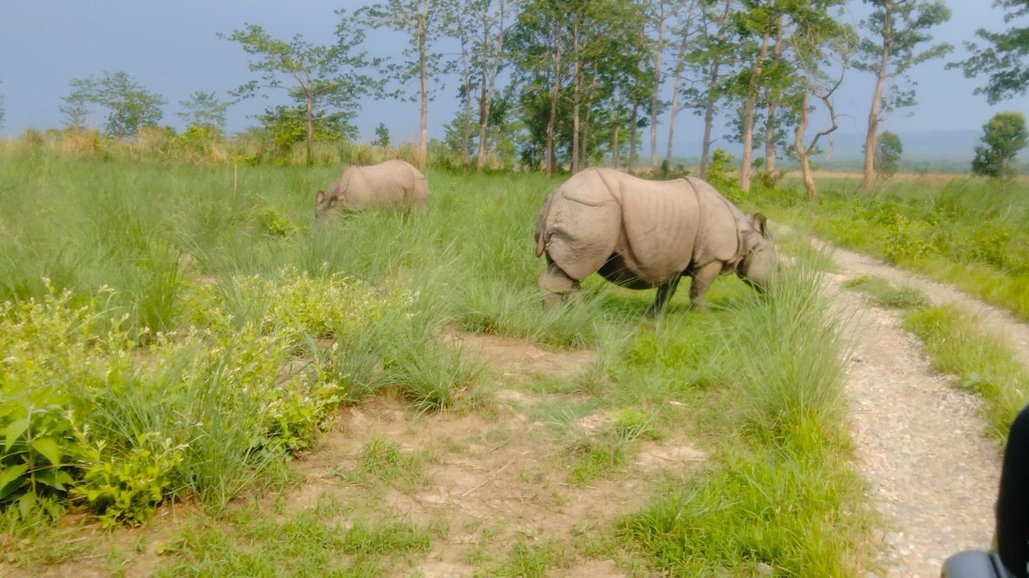 Hotel Tiger Tops Sauraha Dış mekan fotoğraf