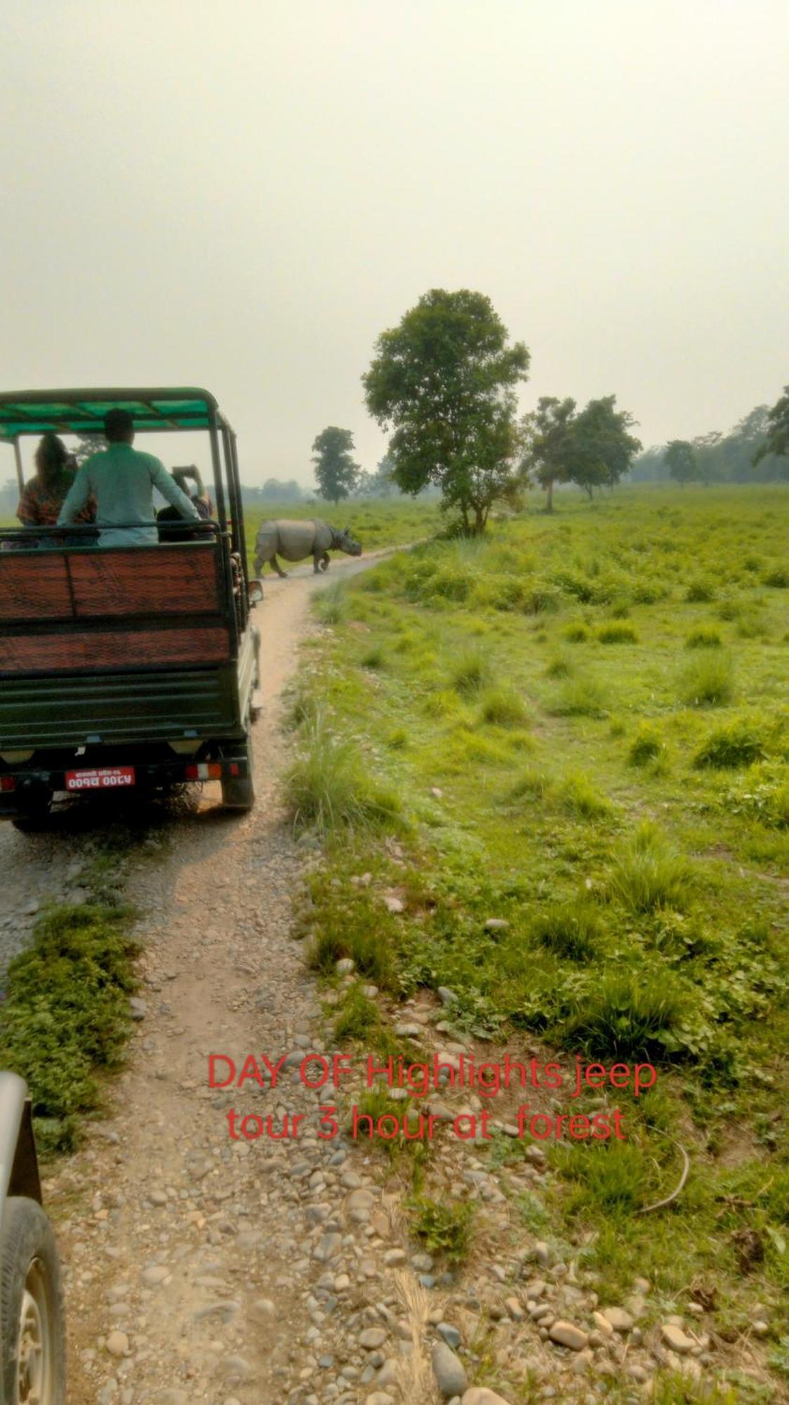 Hotel Tiger Tops Sauraha Dış mekan fotoğraf