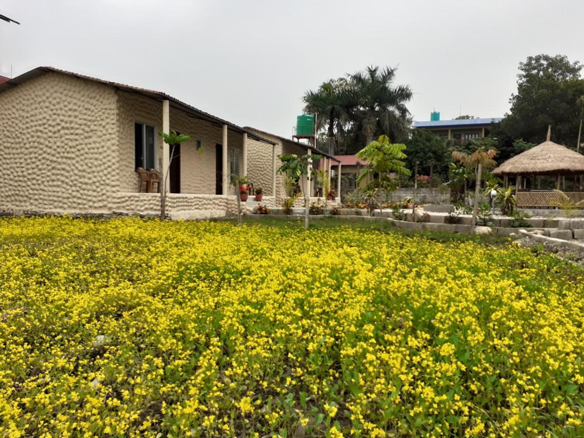 Hotel Tiger Tops Sauraha Dış mekan fotoğraf